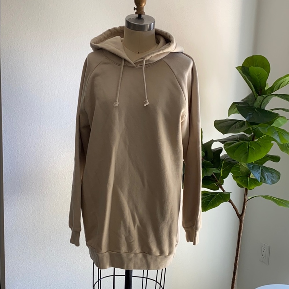 Aritzia TNA oversized hoodie
